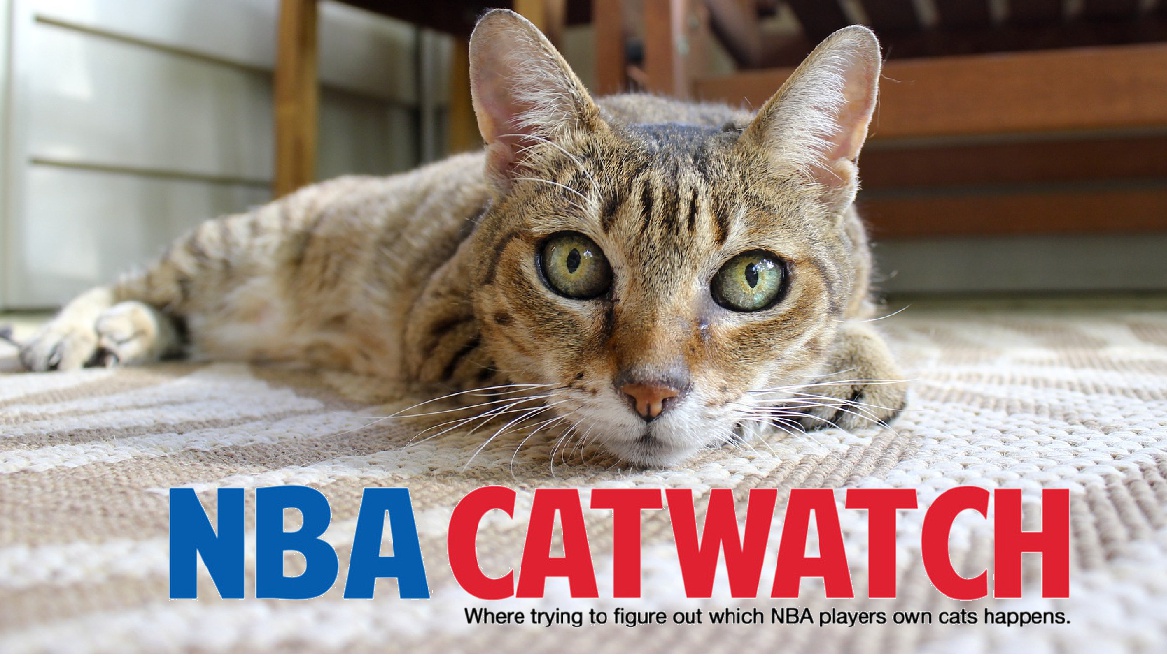 NBA Catwatch: One Man's Quest To Find All The Cat Owners Of The NBA