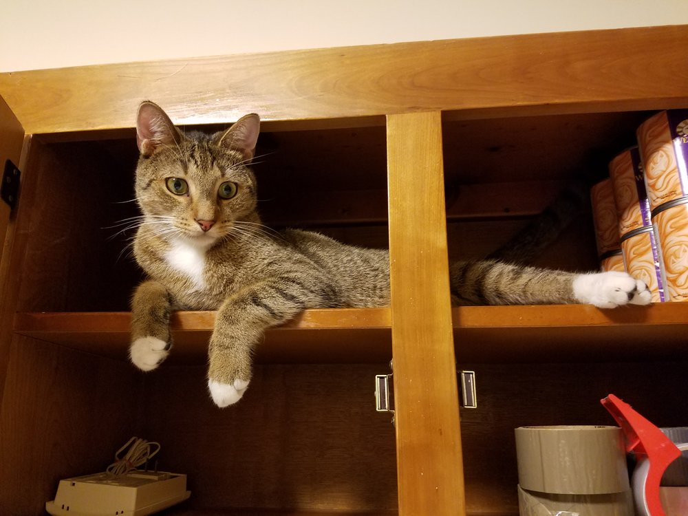 Stealthy!