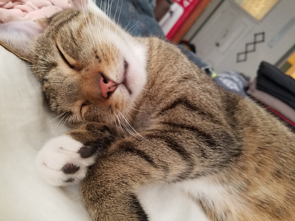 And look real cute doing it