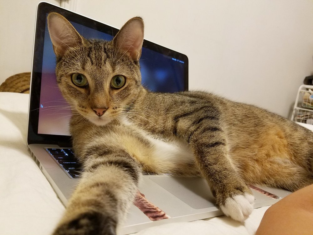 No more computer today lady!