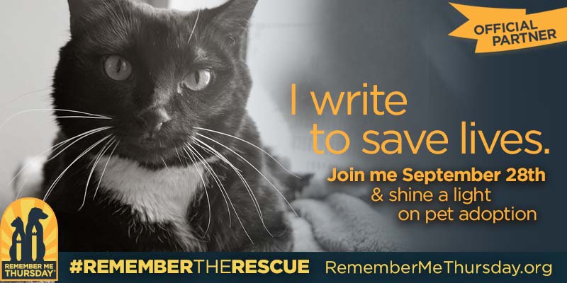 Help Us Recognize #RememberMeThursday And All The Shelter Pets Waiting For Forever Homes