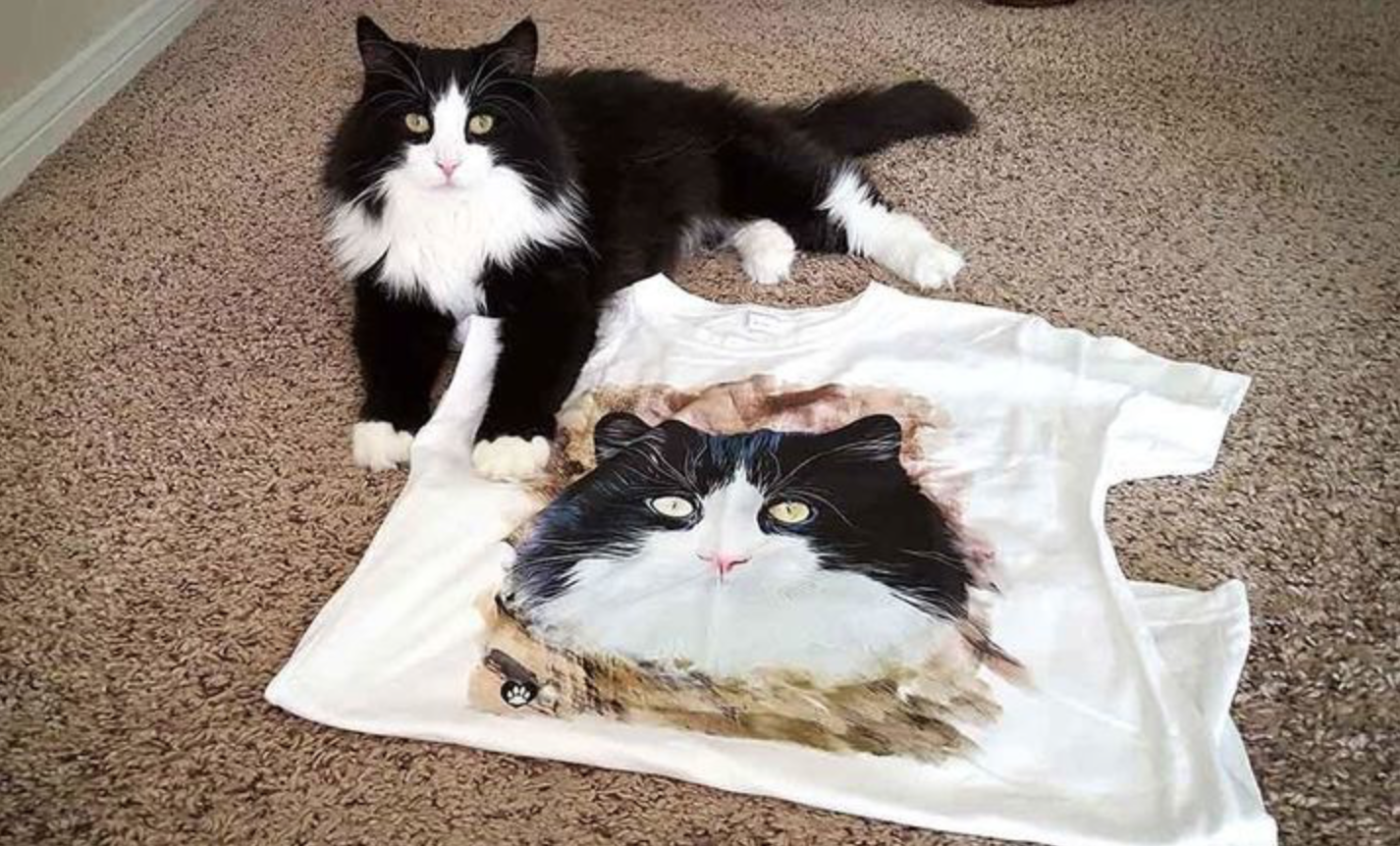 Check Out Animal Hearted’s NEW Cat-Tastic Clothing Line!