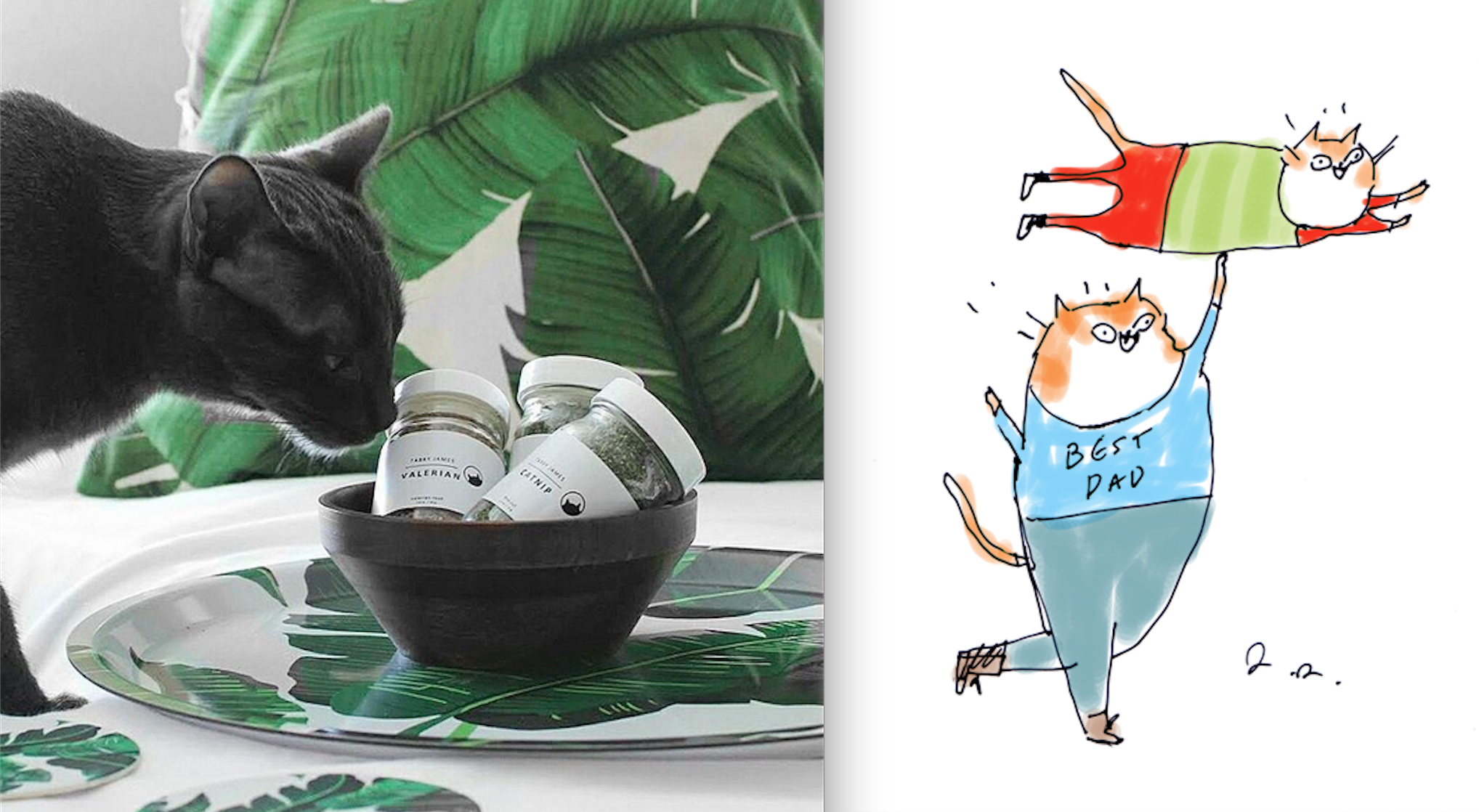 Giveaway Time! Tabby James Organic Catnip + The Dancing Cat Greeting Cards