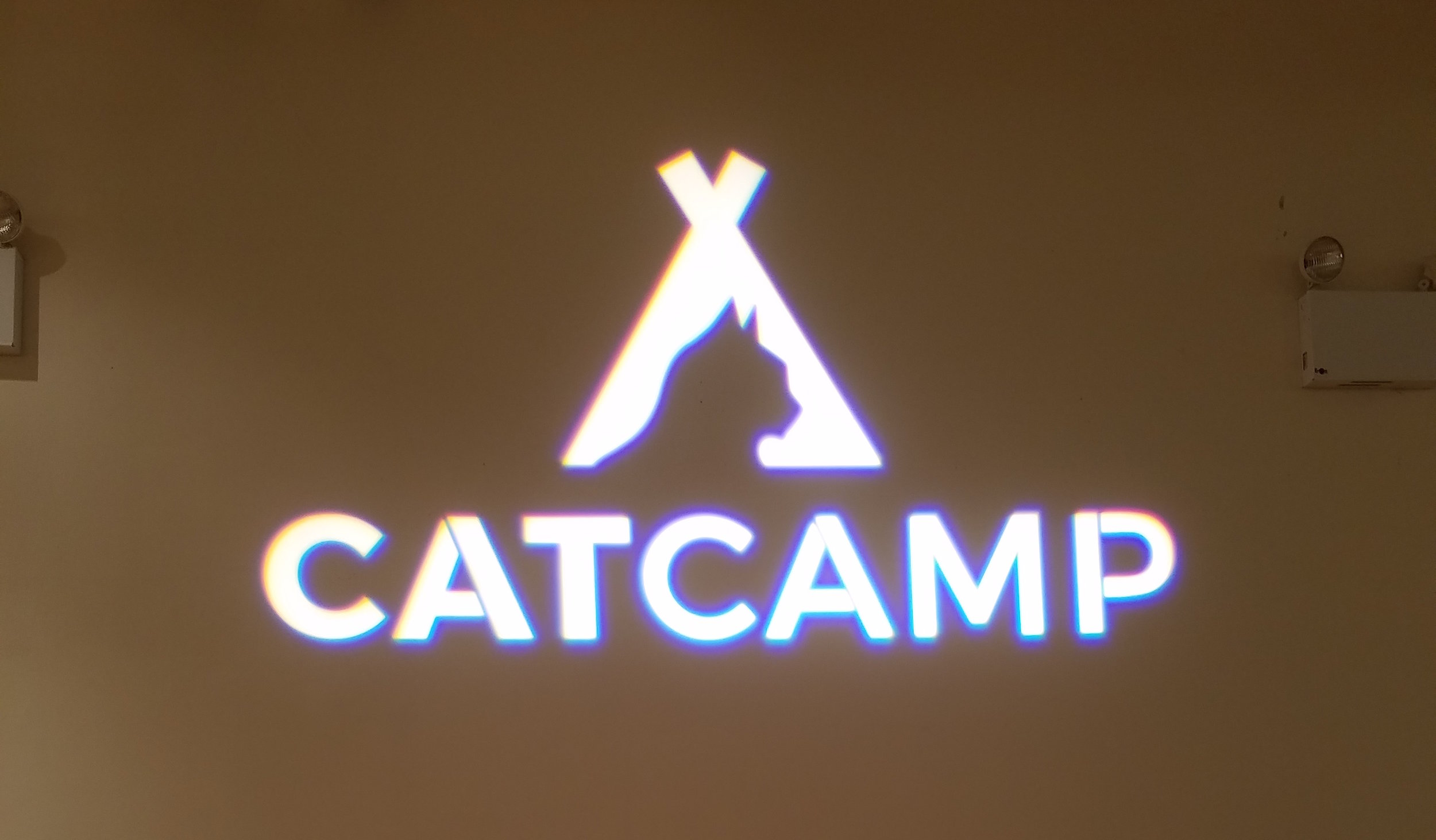 The Mothership Has Landed: CatCamp 2017 Recap!