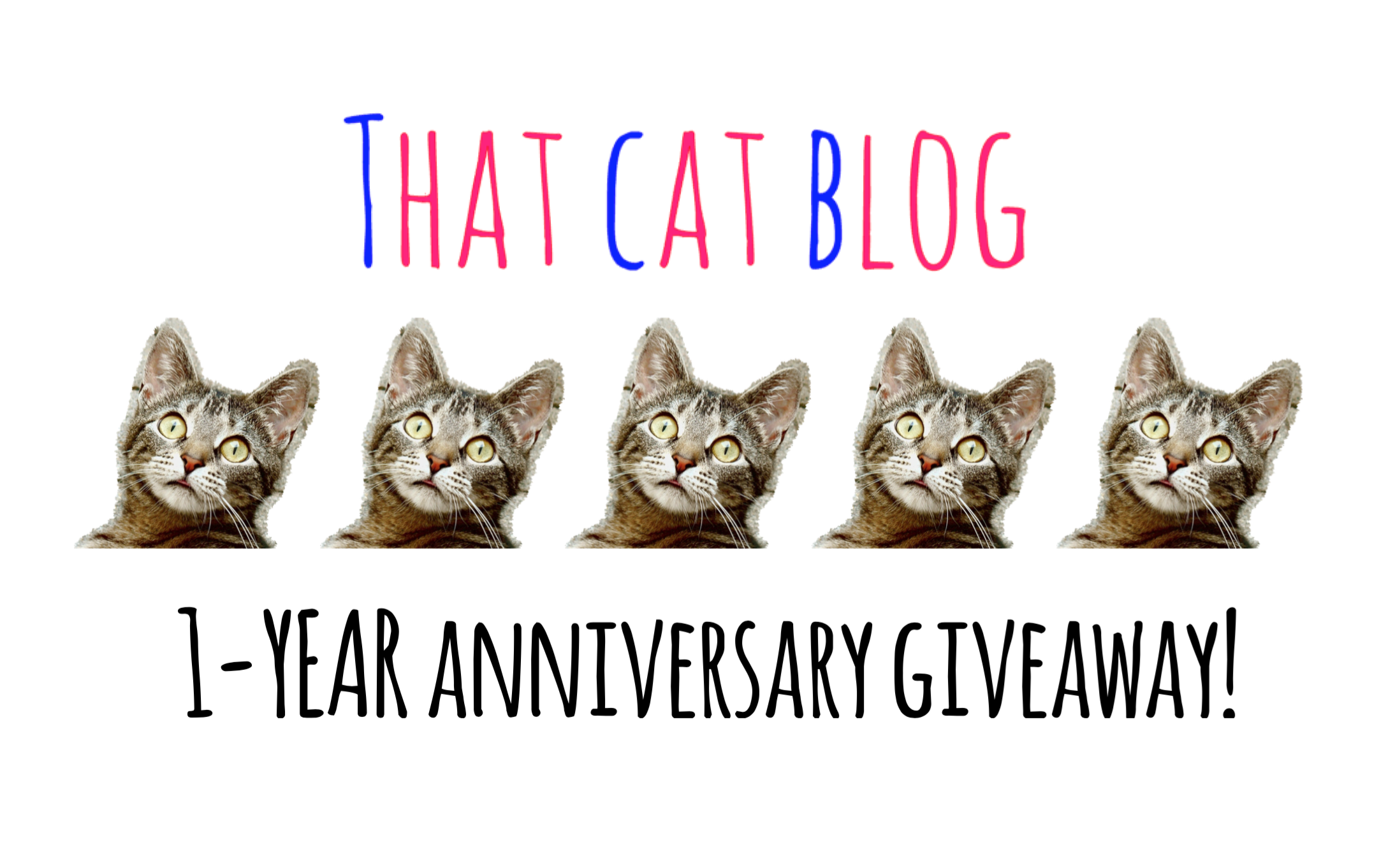 That Cat Blog Is Celebrating Our 1-Year Anniversary With A Giveaway!