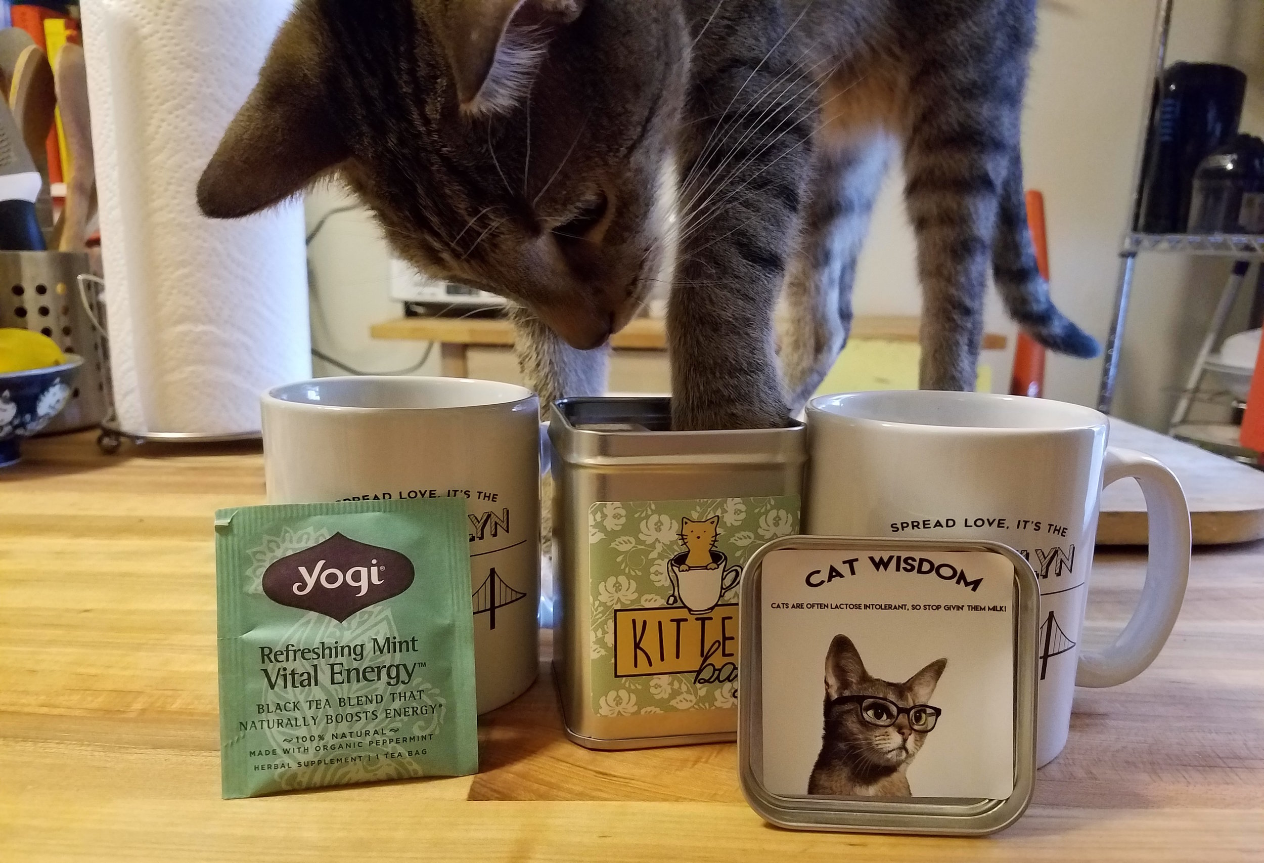 Review: Pet Winery's 'KitTea' Catnip Tea Bags
