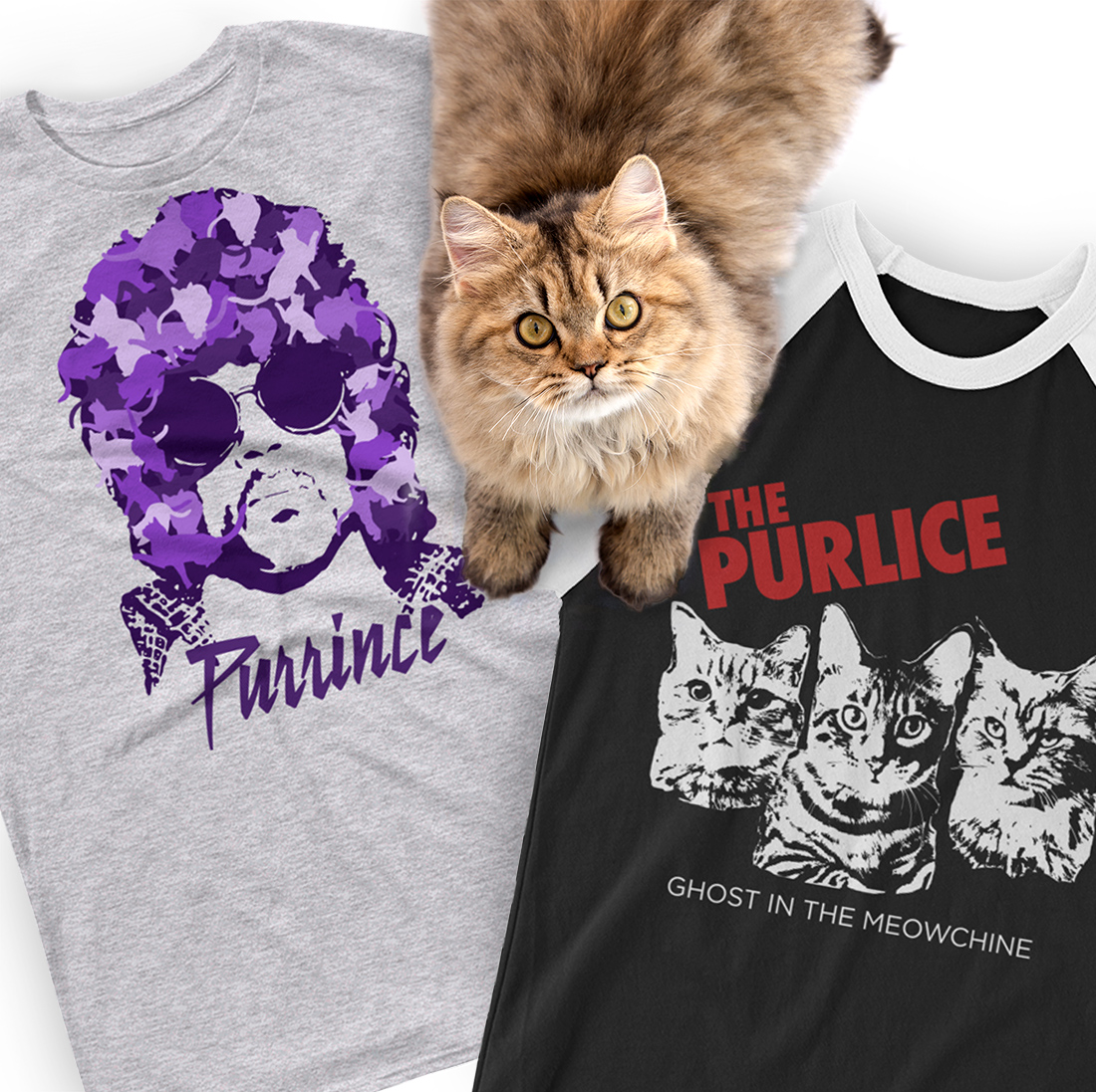 Meow United + That Cat Blog April Fool's Giveaway!