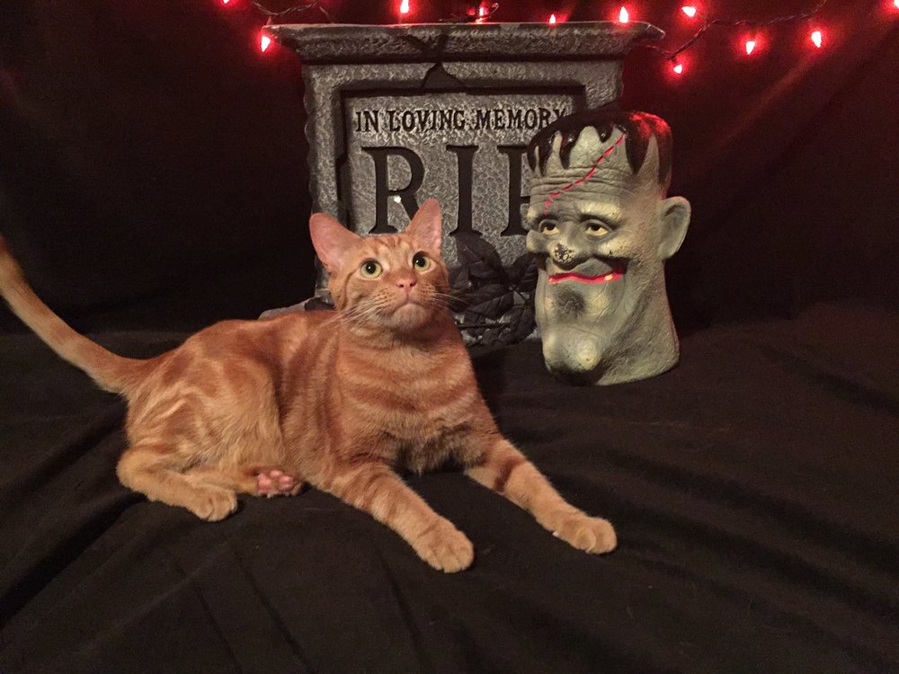 “Heya, Ma! I’ll put on a costume for some treats – whaddya say?!”
