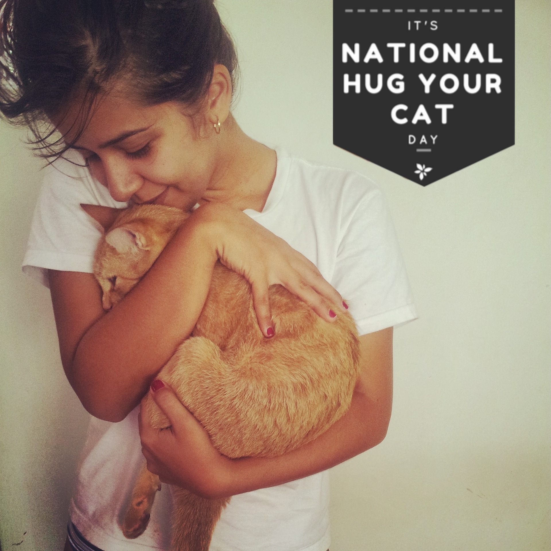 June 4th Is "National Hug Your Cat Day"!
