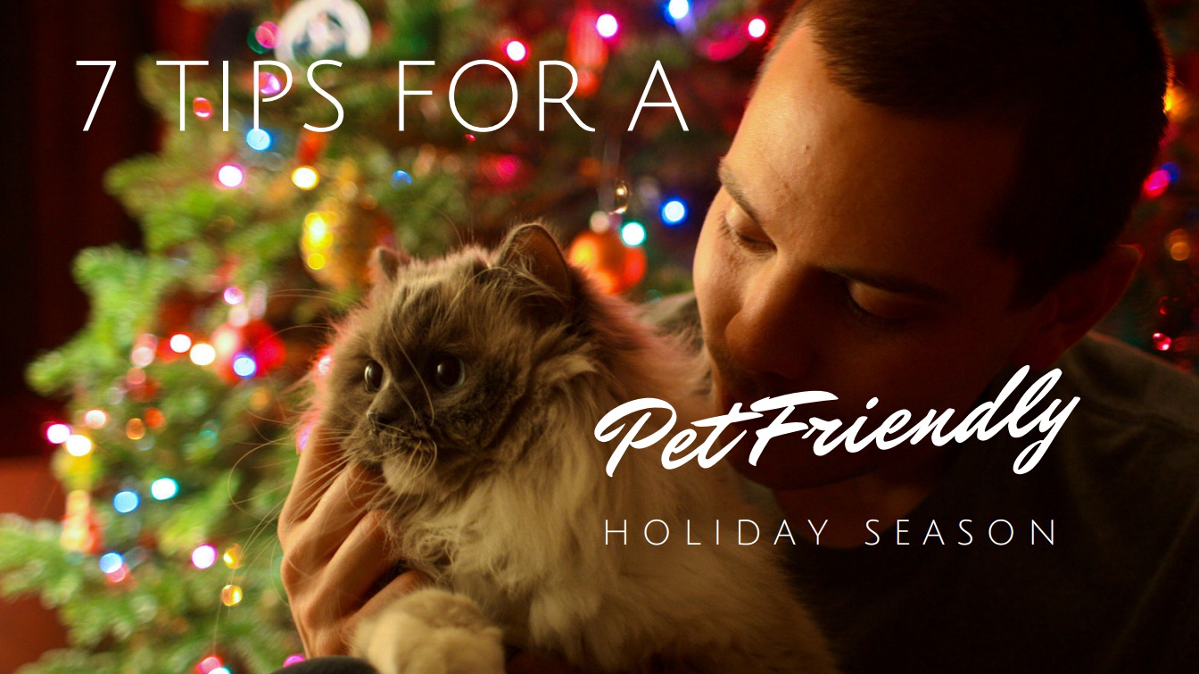 7 Tips For A Pet-Friendly Holiday Season