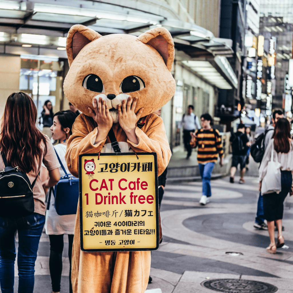 Cat Cafe location