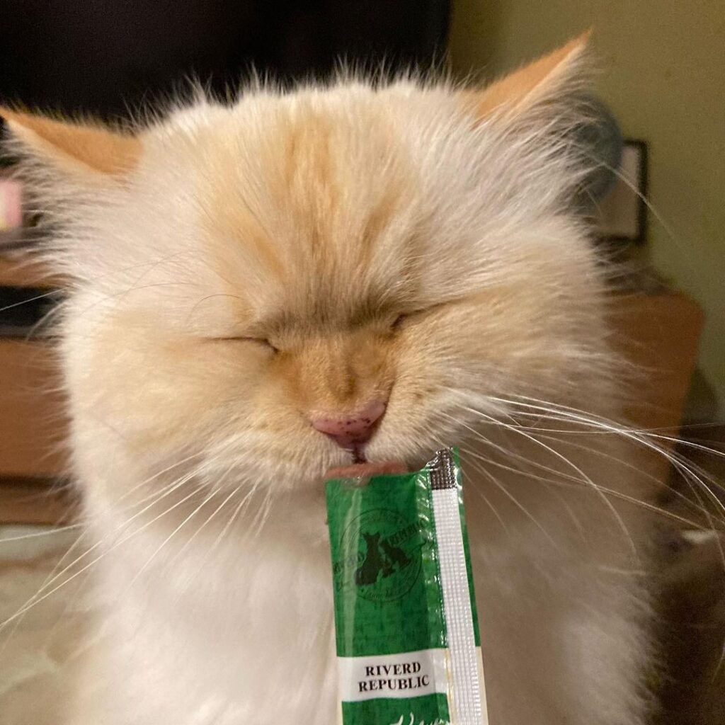 Himalayan