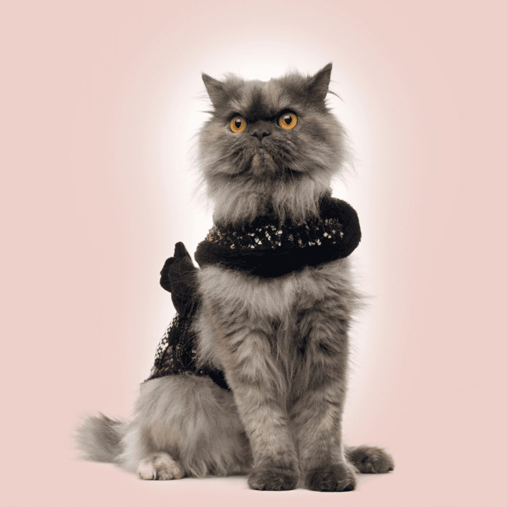 Persian
